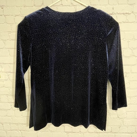 R & M Richards by Karen Kwong Vintage Plus Velvet Sparkle Stretch Blouse Top 18 - Picture 5 of 9